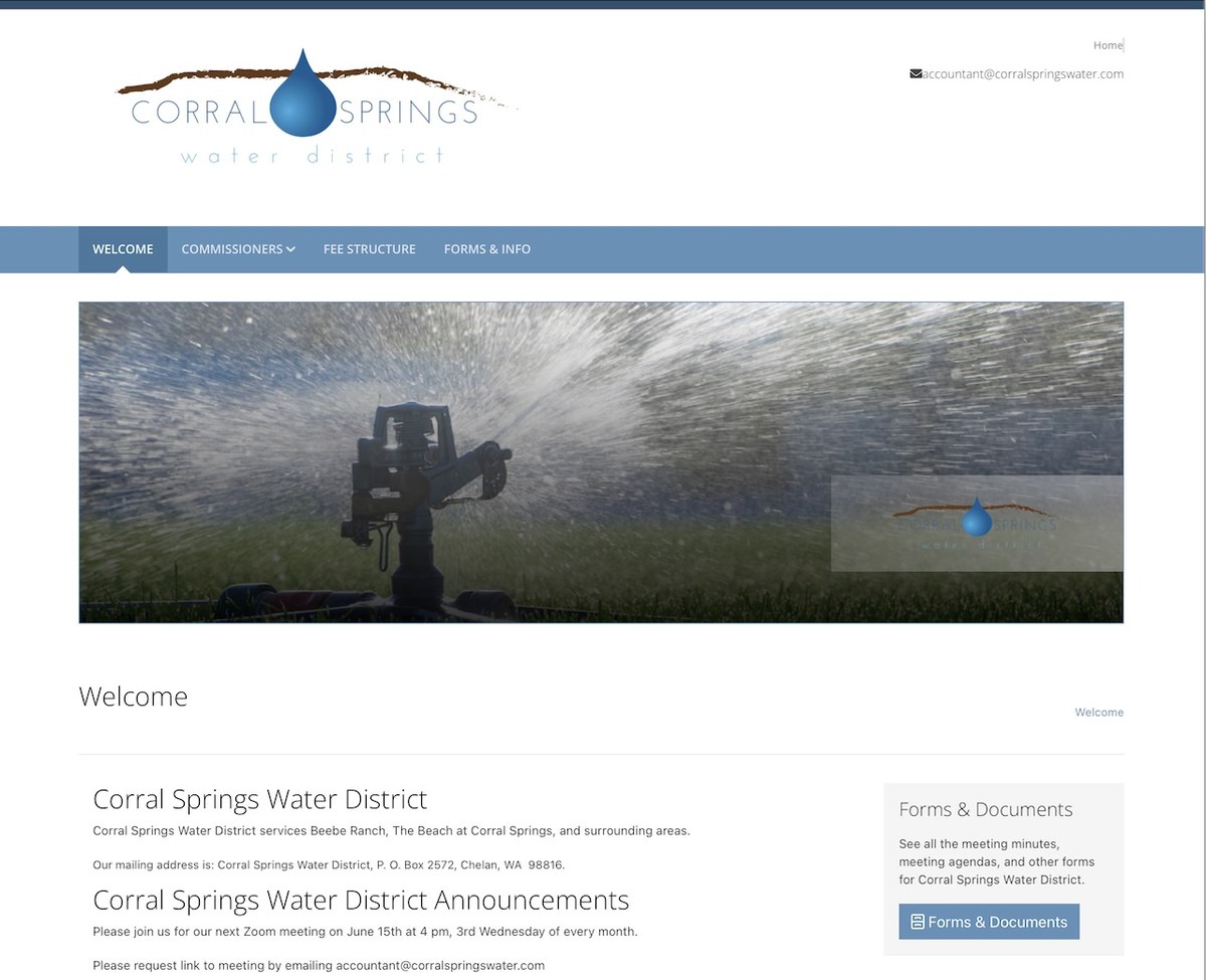 Website Preview